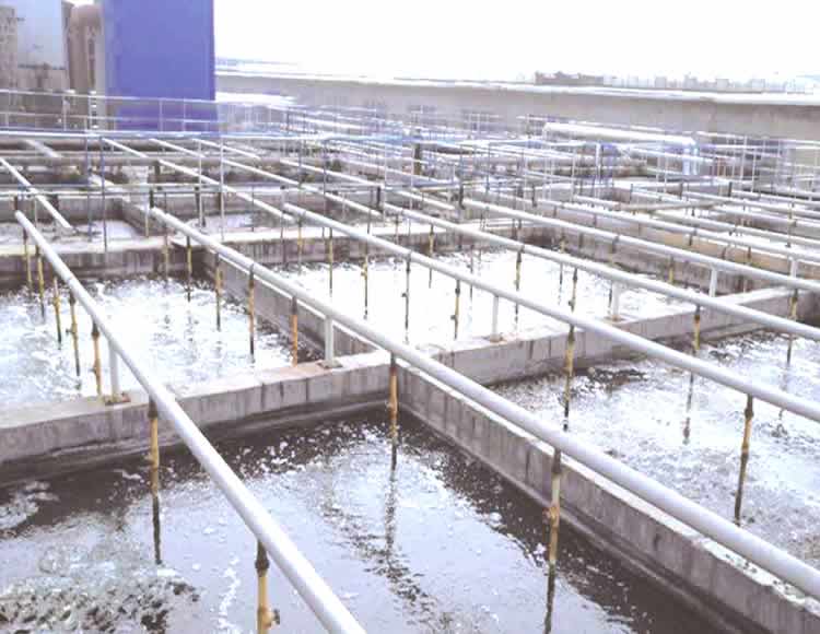 Municipal Sewage Industry Application and Advantages of Filter Press